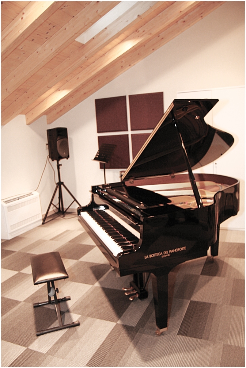 Casa-della-Musica_10