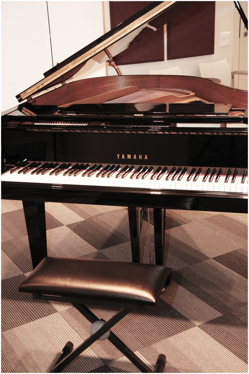 Casa-della-Musica_11